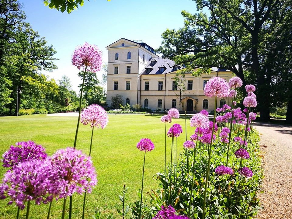 Castles and Chateaux – wedding photo 2