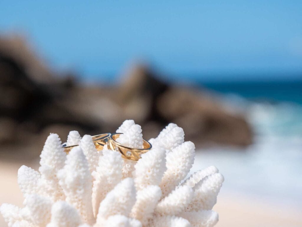 Wedding in the Seychelles – wedding photo 17