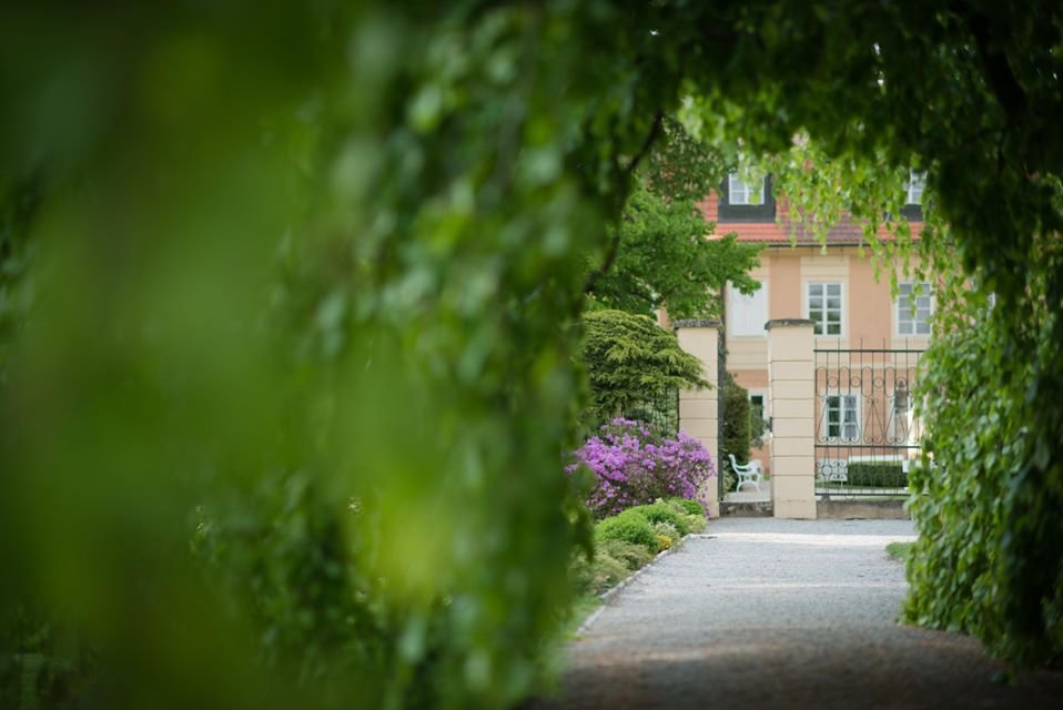 Castles and Chateaux – wedding photo 11