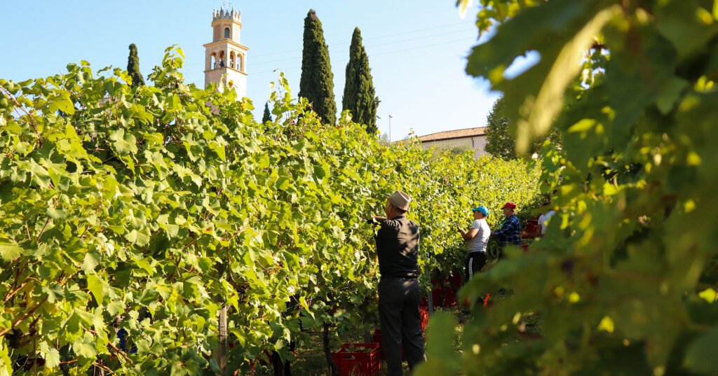 svatba v Itálii Prosecco Hills