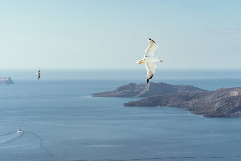 svatba v Řecku na Santorini