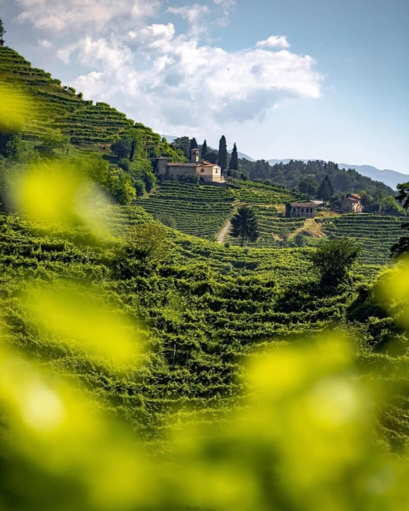 svatba Itálie Prosecco Hill